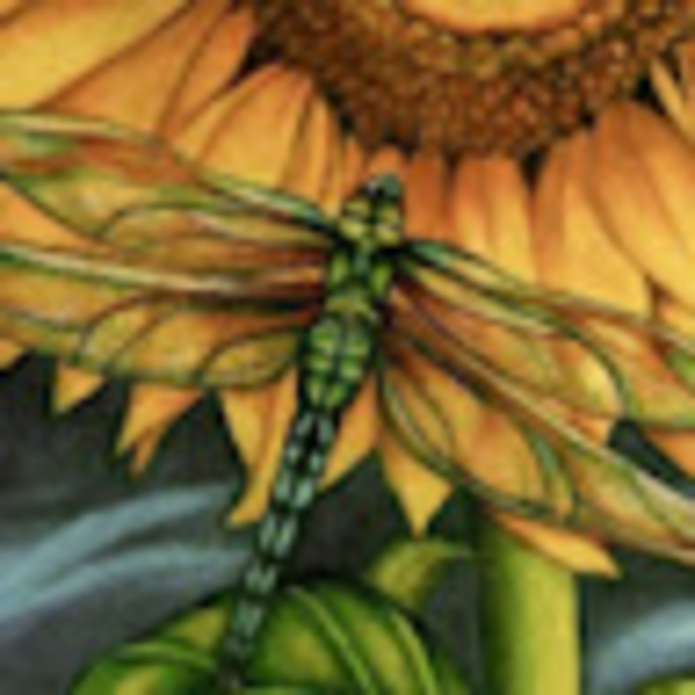 Meet your Posher, Lady dragonfly